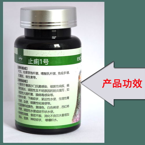 搏冠鴿藥 鴿子水便綠便腹瀉腸炎與沙門氏菌感染的精準防控方案